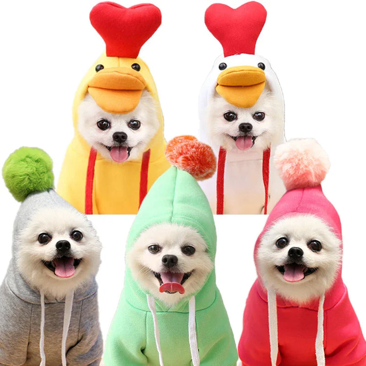 Adorable dogs in colorful hoodies and chicken costumes, perfect pet toys and accessories for fun and comfort.