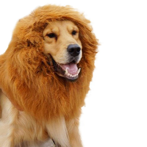 Funny Lion Mane Wig Hat for Dogs & Cats