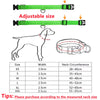 USB Rechargeable Luminous Collar Adjustable Led Glowing Dog Collar for Large Small Dogs Cat Night Light Collar Pet Safety Harness