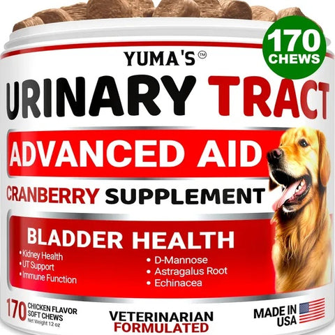 Dog UTI Treatment 170 Treats Cranberry Supplement For Dogs Bladder Control For Dogs