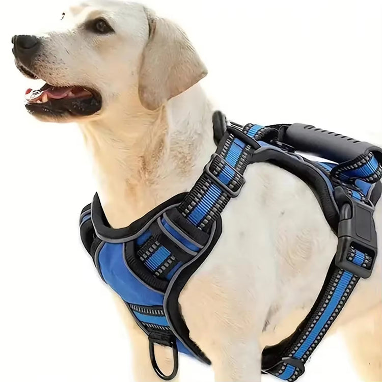 Blue and black dog harness on happy Labrador, perfect for walks and pet supplies