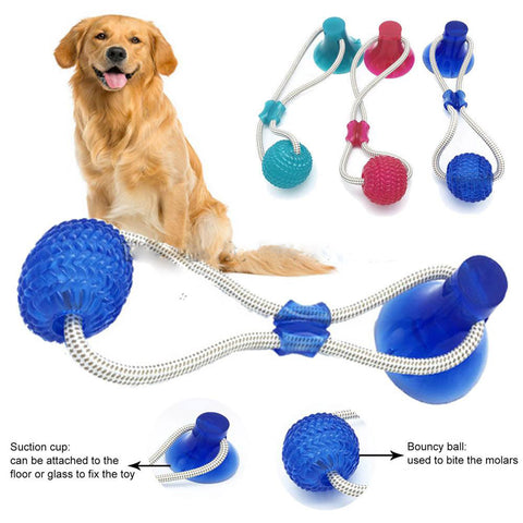 Interactive Suction Cup Dog Chew & Molar Toy