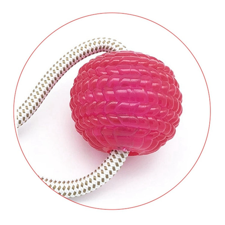 Multifunction Pet Molar Bite Toy Interactive fun Pet toy with suction cup dog push toy with TPR ball Pet Tooth Cleaning,Chewing