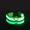 Nylon LED Night Safety Flashing Glow In The Dark Dog Leash Dogs Luminous Fluorescent Pet Dog Collar