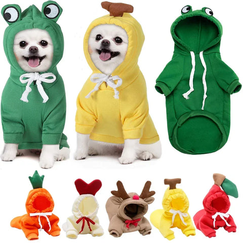 Adorable dog in frog and banana costumes, plus cute pet outfits for cats and dogs