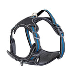 Explosive Red Adventure Dog Harness - Ultimate Safety And Comfort For Large Dogs