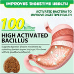 OEM Hot Sales Probiotics Chews For Pets Customized Shape For Digestive Health Pets Supplement Healthy Gut For Dogs