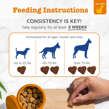 Zoom  4.8  8-in-1 Multivitamin Bites for Dogs
