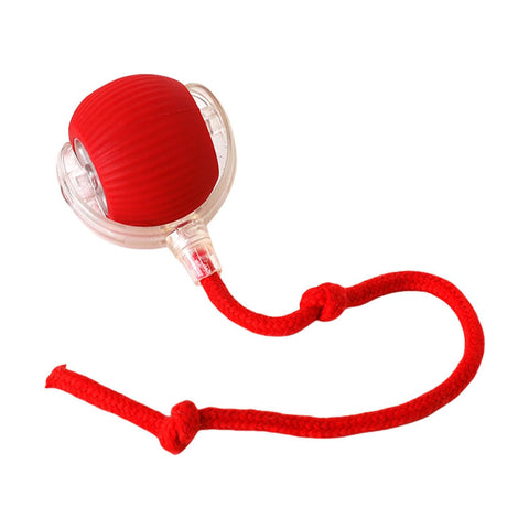 Red dog toy with textured ball and rope for interactive play and chewing