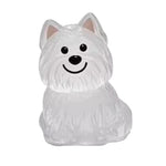 Pet Hair Keychain
