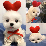 Adorable white dog in cute heart headband and cozy outfit, perfect pet accessory for small dogs