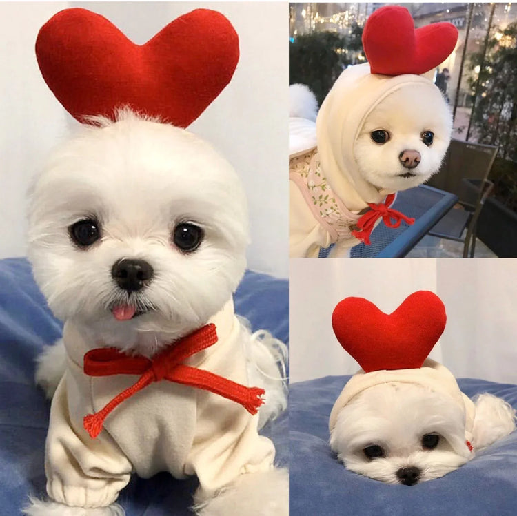 Adorable white dog in cute heart headband and cozy outfit, perfect pet accessory for small dogs