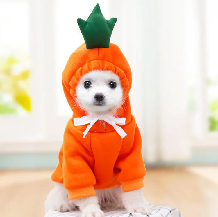 Adorable puppy in orange carrot costume with green top, perfect for dog toys and pet accessories