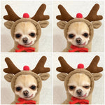 Adorable chihuahua in festive reindeer costume with red bow, perfect pet accessory for holiday fun