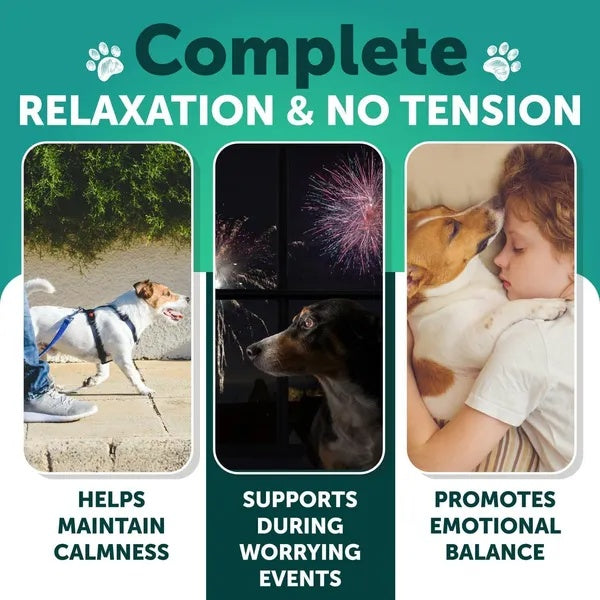 Dog calming aid for relaxation, stress relief, and emotional balance during fireworks or walks