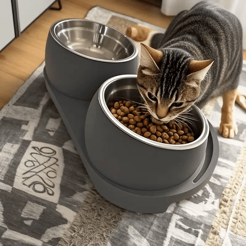 Modern Elevated Pet Food and Water Stainless Steel Bowl, Detachable and Easy to Clean, Space-Saving Dual Compartment Feeder for Medium Pets