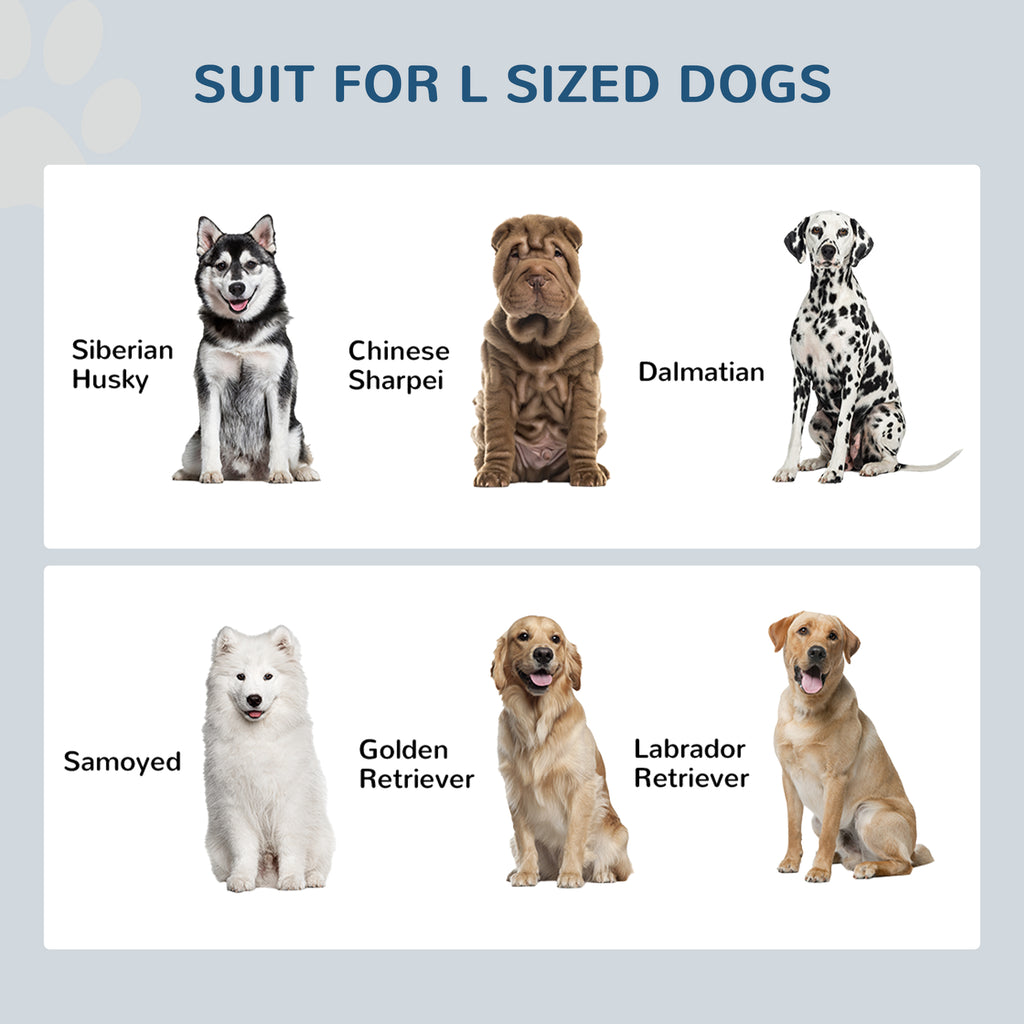 Large dog breeds including Siberian Husky, Golden Retriever, and Dalmatian for pet supplies