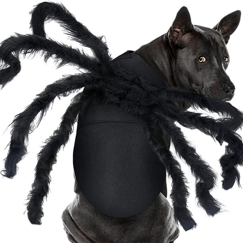 Halloween pet prop bat wings