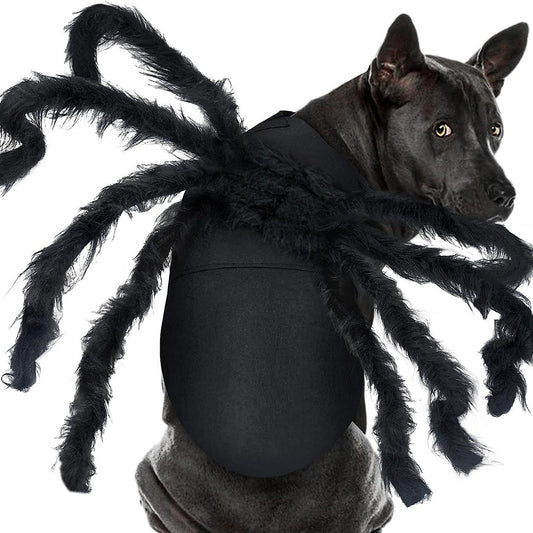 Halloween pet prop bat wings