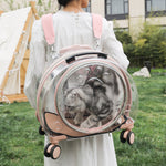 Pet Box Transparent Large Capacity Portable Pet Backpack Space Cabin Dog Luggage