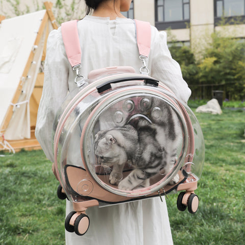 Transparent Large Pet Travel Backpack & Space Cabin