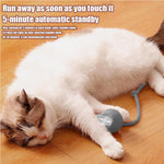 Fluffy cat napping beside automatic pet toy with 5-minute standby feature on wooden floor