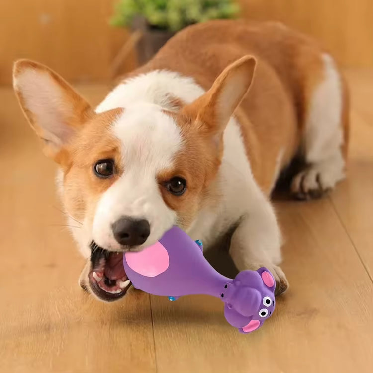 Corgi playing with purple elephant dog toy on wooden floor, fun pet supplies for playful pups