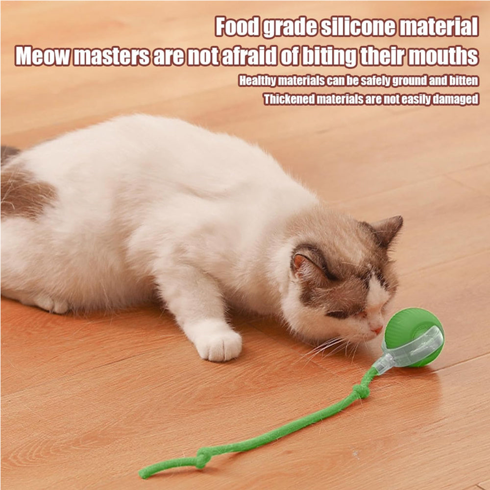 Cat playing with green silicone cat toy on wood floor, safe for biting and chewing