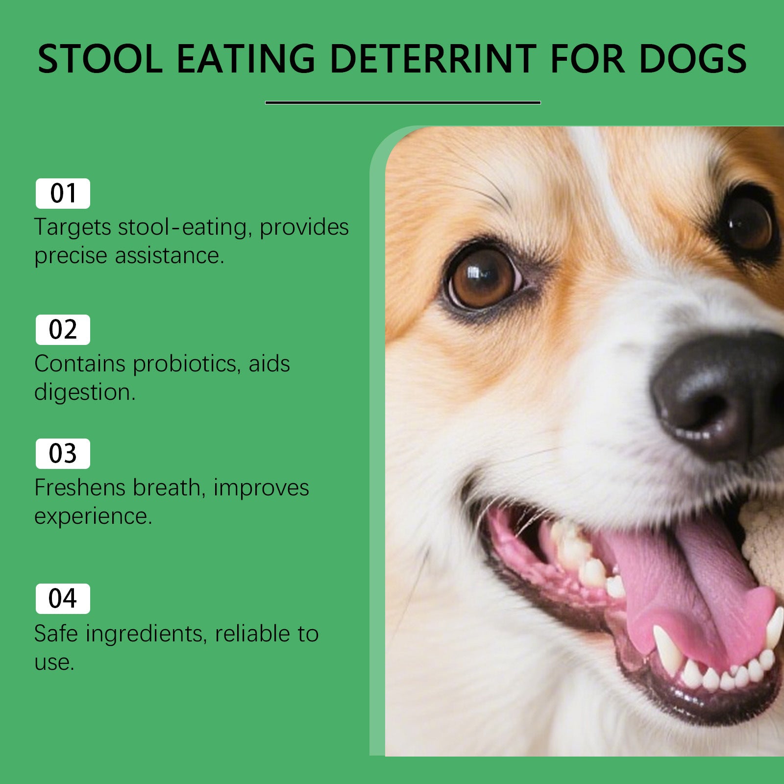 Dog Stool-prevention Chewable Tablets