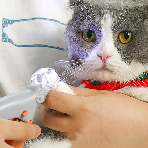 Professional LED-Lit Pet Nail Clippers for Dogs & Cats