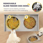 Elevated Dog Bowls with Storage, Raised Dog Bowl Stand with 2 Stainless Steel Bowl for Large Dogs, Gray