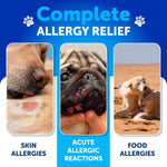 Probiotics For Dogs Support Gut Health Itchy Skin Allergies Immunity Yeast Balance Dog Probiotics And Digestive Enzymes With Prebiotics Reduce Diarrhea Gas 180 Probiotic Chews For Dogs