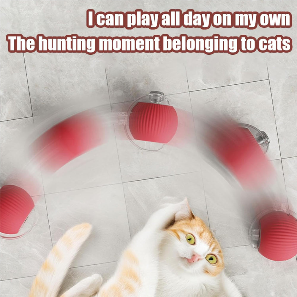 Cat playing with red spinning toy on tile floor, fun pet accessory for indoor play
