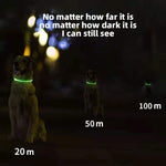 Dog Teddy Pet Luminous Led Collar Flashing At Night Walking Dog Collar Pet Supplies