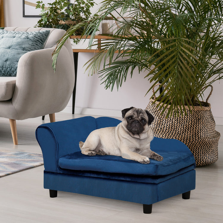 Pug resting on blue velvet dog bed in cozy living room with plants and sofa