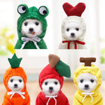Adorable puppy in cute animal and fruit costumes: frog, heart, carrot, apple, banana — perfect pet toys & accessories