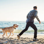 2 In 1 Dog GPS Fence Tracker Wireless GPS Dog Fence GPS Dog Collar With 32-2887FT Radius IPX6 Waterproof For Small Medium Large Dogs