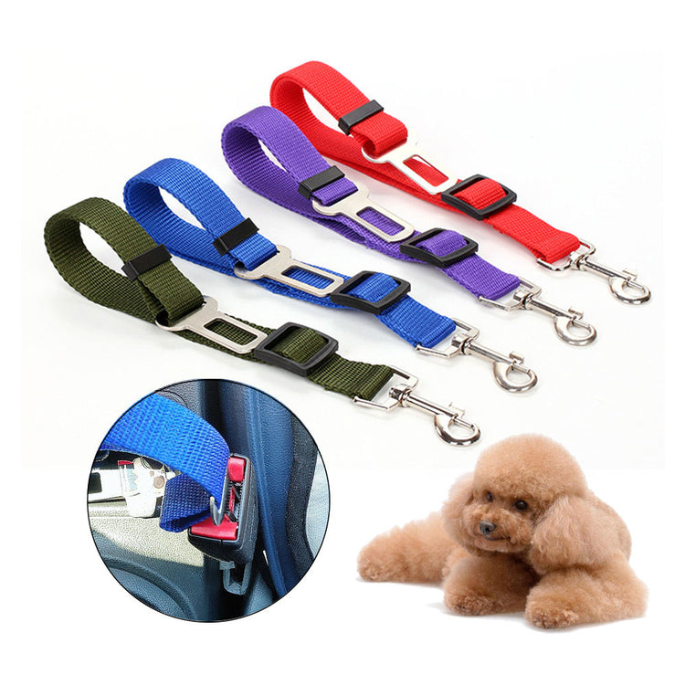 Colorful dog seat belts with car buckle clips for safe travel, shown with a poodle
