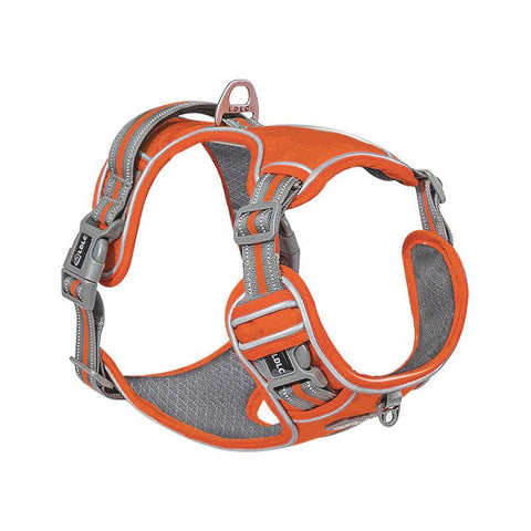 Explosive Red Adventure Dog Harness - Ultimate Safety And Comfort For Large Dogs