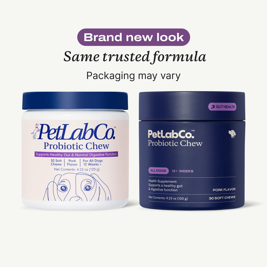 PetLab Co. Probiotics for Dogs Soft Chews for Seasonal Allergies, Gut, and Digestive Health. Vet-Reviewed, Premium-Quality Ingredients - Supplements