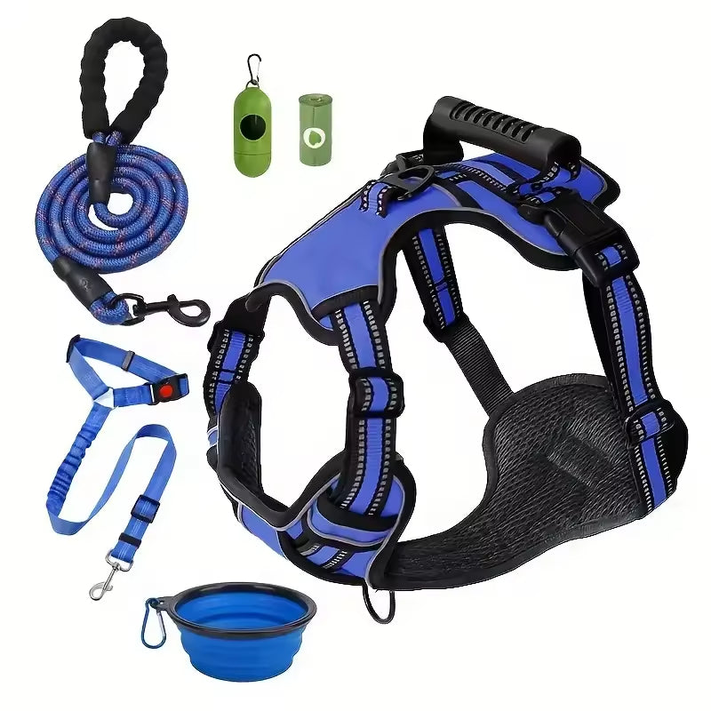 Blue dog harness, leash, poop bags, and collapsible bowl for pet walks and outdoor adventures.
