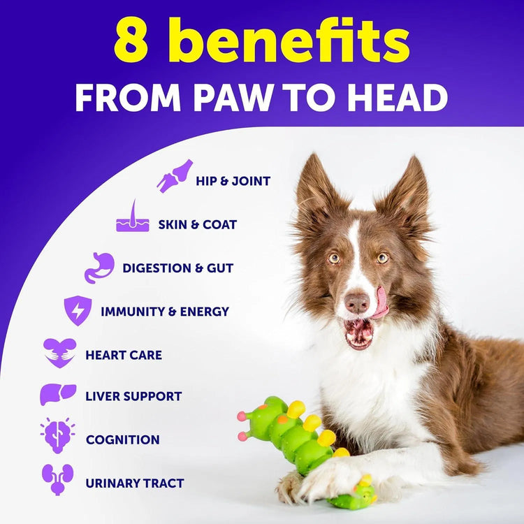 Do Not Sell On Amazon Dog Multivitamin Chewable With Glucosamine 20 In 1 Dog Vitamins And Supplements Senior & Puppy Multivitamin For Dogs Pet Joint Support Health Immunity Mobility Gut Skin 120 Chews