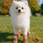 2026 New Glowing Dog Shoes 4PCS LED Light-Up Anti-Slip Paw Protector For Small Medium Dogs Night Safety Visibility Outdoor Shoes