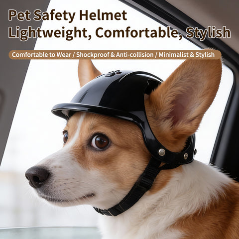 Pet Motorcycle Helmet for Dogs & Cats