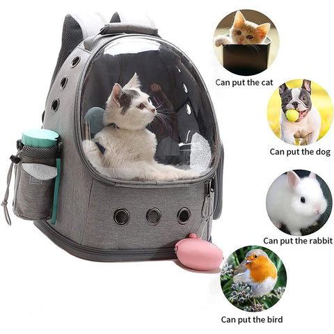 Transparent Space Capsule Pet Backpack for Cats & Dogs