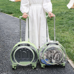 Pet Box Transparent Large Capacity Portable Pet Backpack Space Cabin Dog Luggage