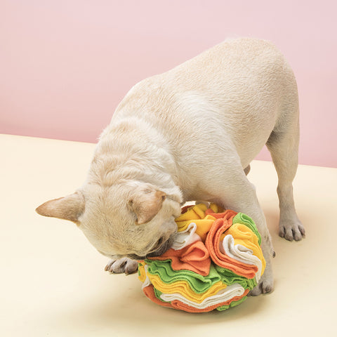 Dog Sniff Ball Enrichment & Treat Dispensing Toy