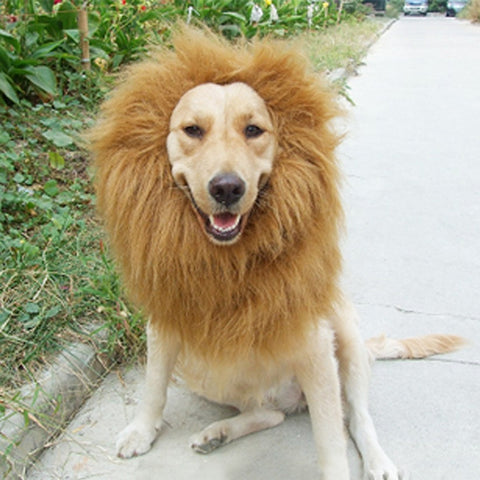 Funny Lion Mane Wig Hat for Dogs & Cats
