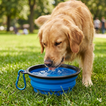 Dog Bowl Pet Collapsible Bowls, 2 Pack, Large, Dog Water Bowls for Cats Dogs, Portable Pet Feeding Watering Dish for Walking Parking Traveling with 2 Carabiners Collapsible Dog Bowls, Travel, Hiking