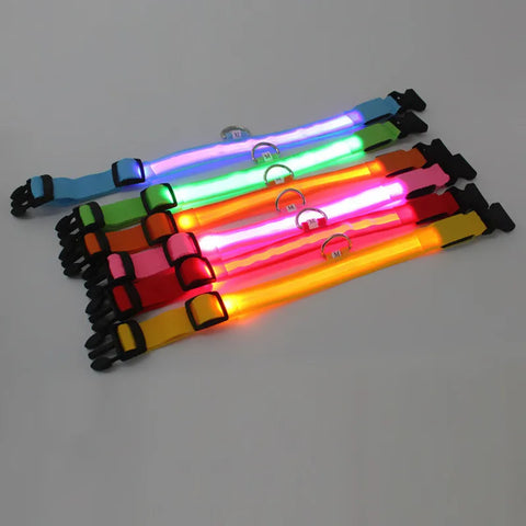 LED Glow Dog Collar & Leash for Night Safety